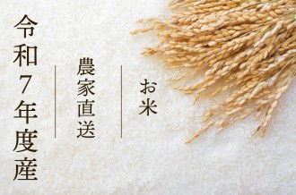茨城県稲敷市ふるさと納税-令和7年度産お米