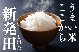 新発田のお米がうまい件について