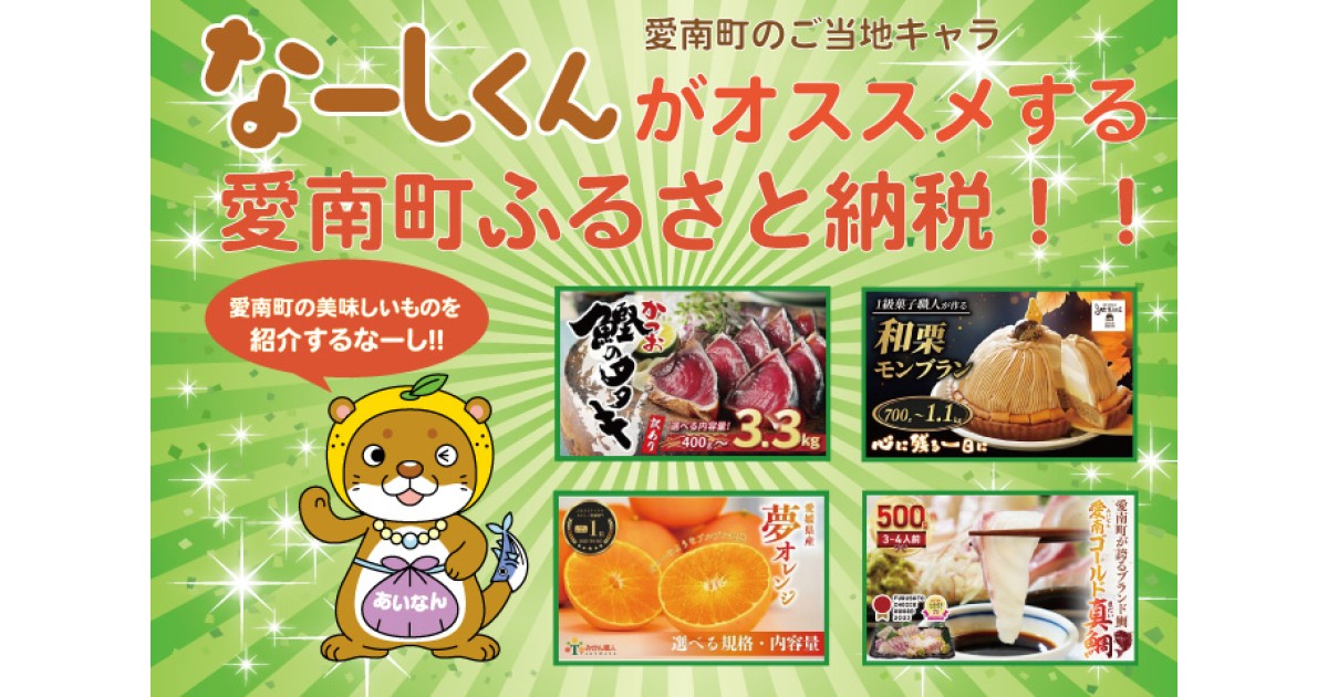 「南君さん専用」 なーしくんが2025年おすすめする愛南町のおすすめふるさと納税はこれだ