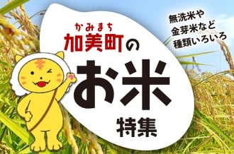お米特集