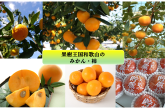 果樹王国和歌山の柿・みかん