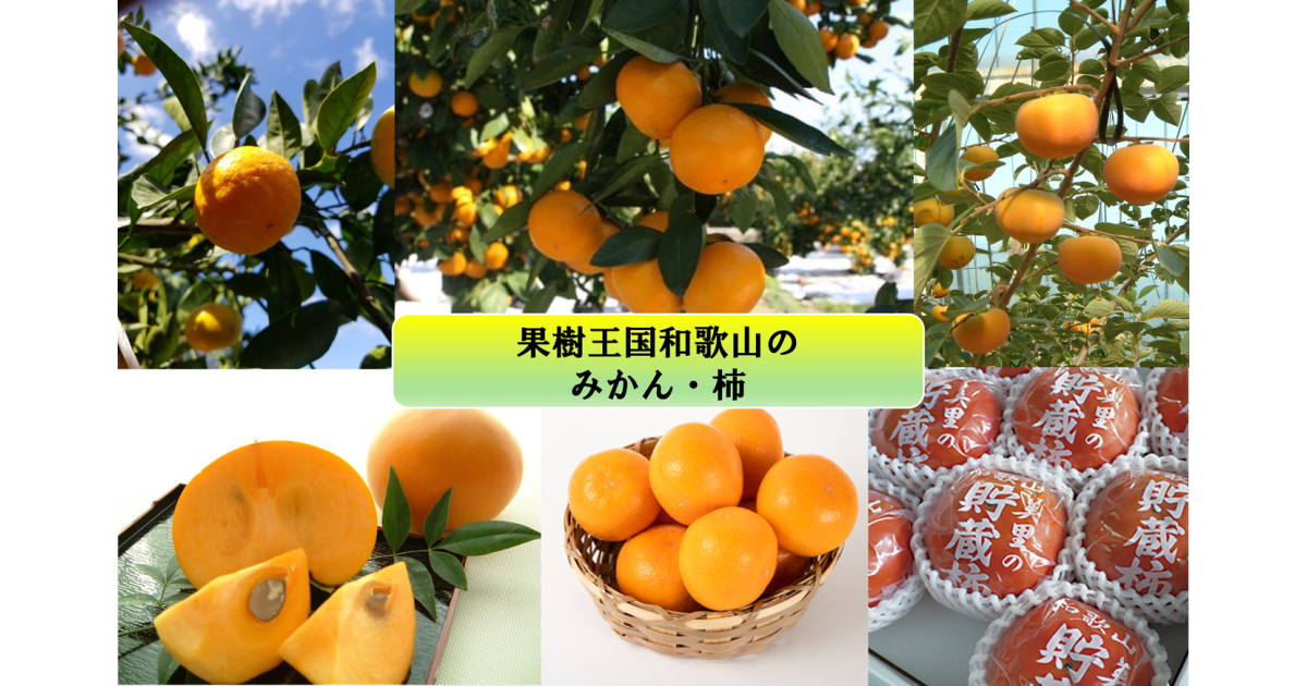 和歌山県の果樹王国和歌山の柿・みかん｜ふるさとチョイス - ふるさと