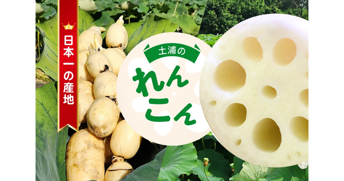 土浦市 ふるさと納税 れんこん特集｜ふるさとチョイス - ふるさと納税