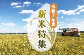 新米特集