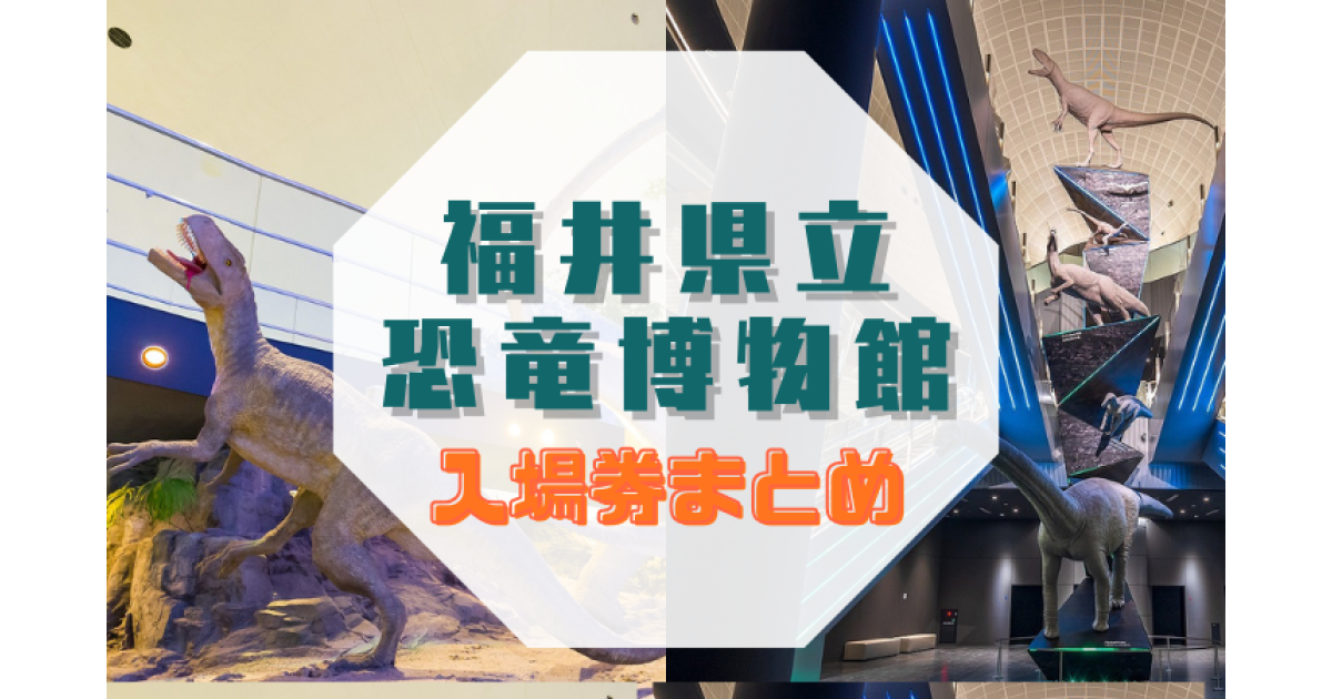 福井県恐竜博物館 常設展観覧券【福井県勝山市ふるさと納税