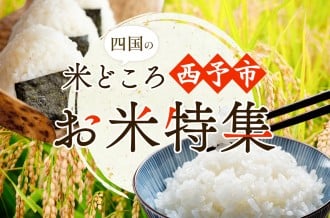 四国の米どころ 西予市のお米特集