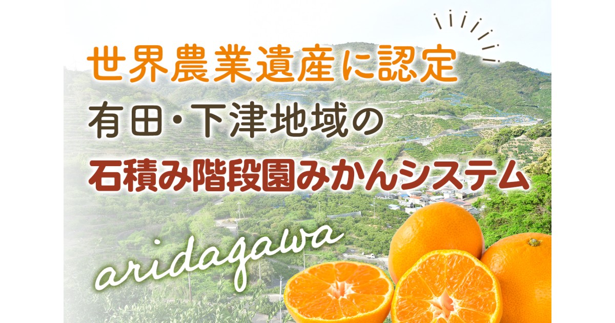 令和7年8月 世界農業遺産認定 「有田・下津地域の石積み階段園みかん
