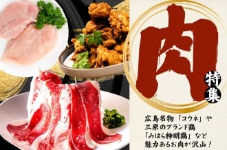 三原市　肉