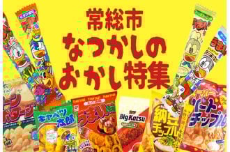 【ふるさと納税】茨城県常総市　なつかしのおかし特集