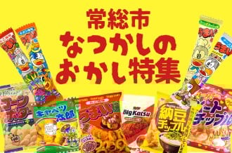 【ふるさと納税】茨城県常総市　なつかしのおかし特集