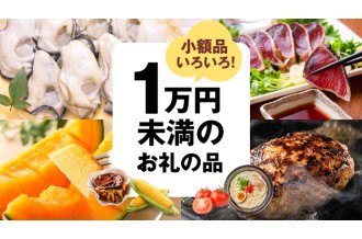 小額品いろいろ！ 1万円未満のお礼の品