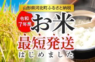R7年産米「はえぬき」の最短発送を始めました！！！（2025年産 令和7年産 はえぬき 精米 10kg 20kg)