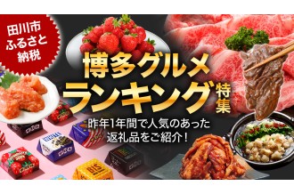 福岡県田川市ふるさと納税博多グルメランキング特集
