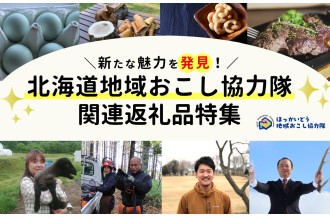 ほっかいどう地域おこし協力隊バナー