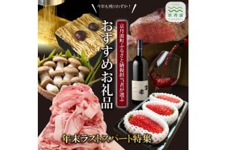 年末ラストスパート特集・ふるさと納税担当者が選ぶおすすめお礼の品