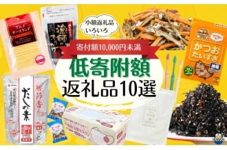 愛媛県伊予市のふるさと納税