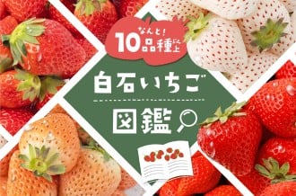 あなたにぴったりのいちごが見つかる！