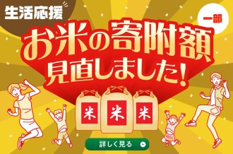 ふるさと納税 新米 お米 美味しい 取り寄せ グルメ 白米 こめ おいしいお米 即納