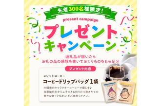 先着300名様限定！プレゼントキャンペーン