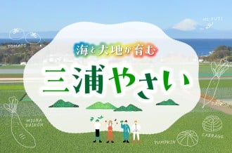 新鮮な“三浦やさい”を旬の時期にお届け
