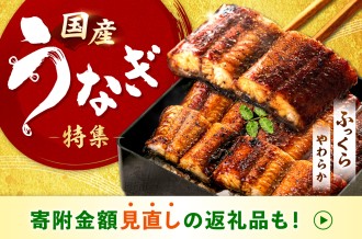ふるさと納税 うなぎ特集 画像
