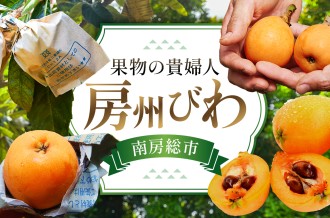 初夏にしか出会えない果物の貴婦人・房州びわ。豊富な果汁と上品な甘さ、果実の美しさから、皇室への献上品としても有名です。