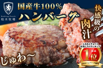 伊勢原市ふるさと納税《柏木牧場特製》国産牛100%ハンバーグ