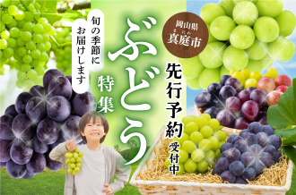 真庭市のぶどう特集　先行予約受付中