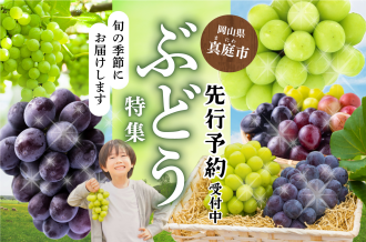 真庭市のぶどう特集　先行予約受付中