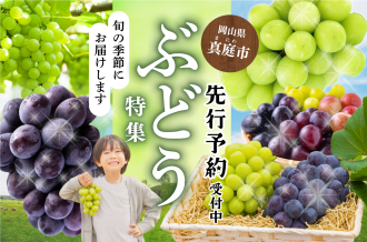 真庭市のぶどう特集　先行予約受付中