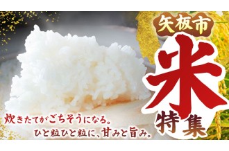 お米特集バナー