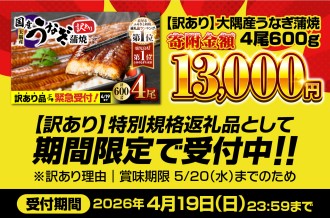 【 期間限定 特別規格 】 4月19日（水）まで！  訳あり 大隅産 うなぎ蒲焼4尾（600g）寄附金額13,000円