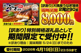 【 期間限定 特別規格 】 4月19日（水）まで！  訳あり 大隅産 うなぎ蒲焼2尾（290g）寄附金額8,000円