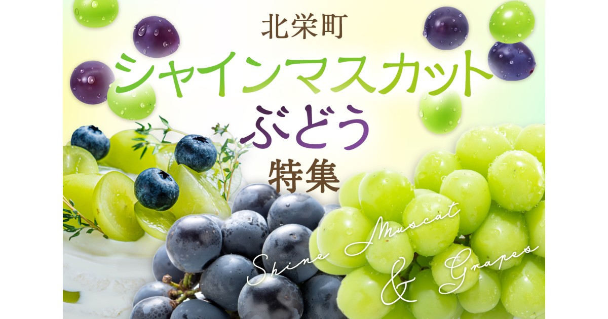 鳥取県北栄町の【鳥取県北栄町】先行予約！シャインマスカット・ぶどう