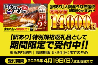 【 期間限定 特別規格 】 4月19日（水）まで！  訳あり 大隅産 うなぎ蒲焼2尾（290g×2）寄附金額14,000円