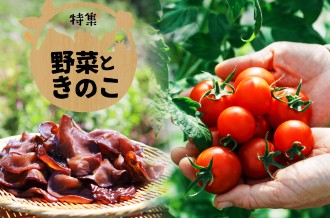 桶川市の新鮮な野菜ときのこ特集
