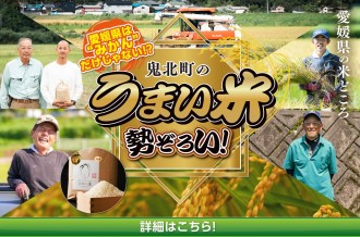 清流育ちのふっくらごはん！鬼北町自慢のお米返礼品【鬼北米特集】