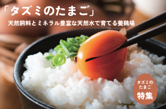 タズミのたまご特集