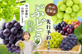 真庭市のぶどう特集　先行予約受付中