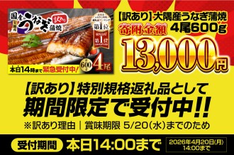 【 期間限定 特別規格 】 4月20日（月）14時まで！  訳あり 大隅産 うなぎ蒲焼4尾（600g）寄附金額13,000円