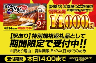 【 期間限定 特別規格 】 4月20日（月）14時まで！  訳あり 大隅産 うなぎ蒲焼2尾（290g×2）寄附金額14,000円
