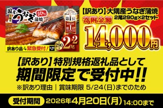 【 期間限定 特別規格 】 4月20日（月）14時まで！  訳あり 大隅産 うなぎ蒲焼2尾（290g×2）寄附金額14,000円