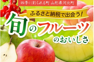 🍎【山形県河北町】令和8年産 フルーツ特集！🍐（2026年産 フルーツ 定期便 さくらんぼ 桃 メロン ラフランス りんご ）