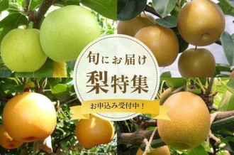 旬にお届け【梨特集】