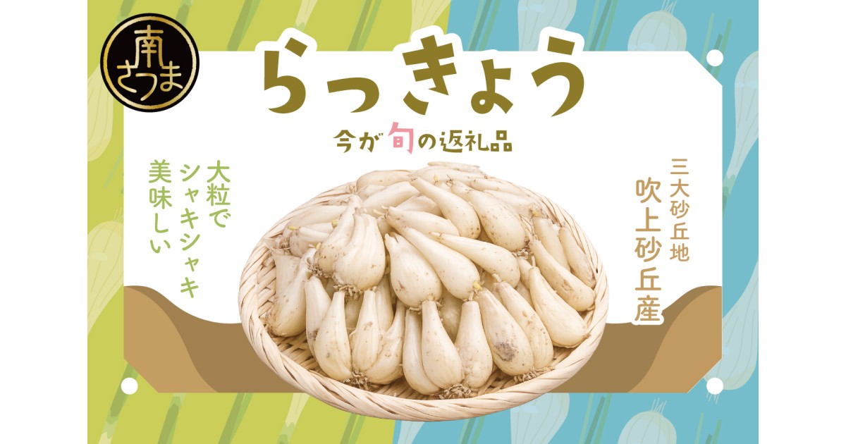 鹿児島県南さつま市のふるさと納税：今が旬特集「らっきょう