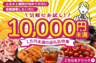 まずはお試し！寄附金額1万円未満の返礼品