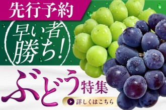三次市自慢のぶどう、旬の時期にお届けします。数量限定！お申し込みはお早めに！