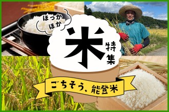 米特集