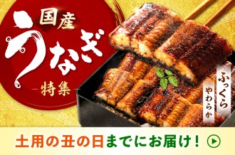 ふるさと納税 うなぎ特集 画像