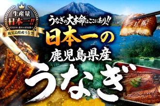 うなぎの大本命はここにあり！日本一の鹿児島県産うなぎ